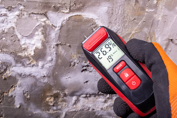 Best Residential Mold Removal  in Ken Caryl, CO